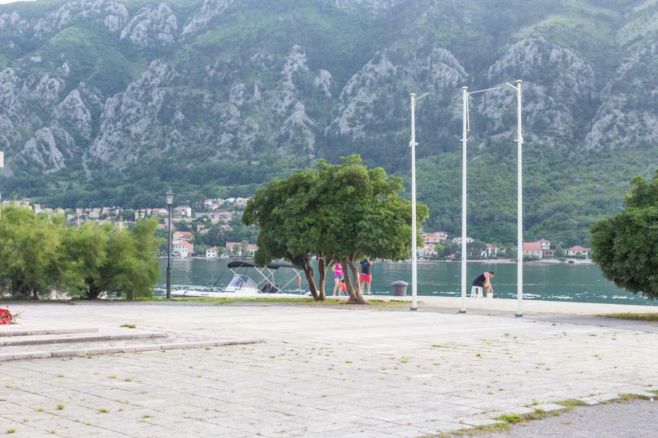 Apartman Kotor Eksteriør bilde